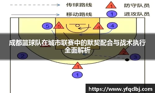 成都篮球队在城市联赛中的默契配合与战术执行全面解析